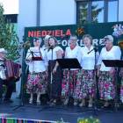 zdjęcie nr 7