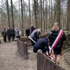 zdjęcie nr 8