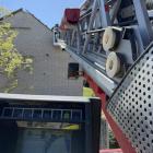 Fotka nr 1 z 3