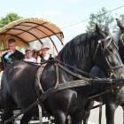 zdjęcie nr 201