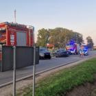 Fotka nr 5 z 6