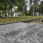 zdjęcie nr 11