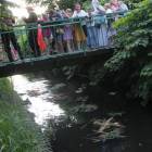 zdjęcie nr 228