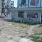 zdjęcie nr 12