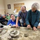 Fotka nr 0 z 15