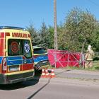 Fotka nr 5 z 11