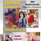 Fotka nr 1 z 2