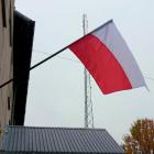 zdjęcie nr 13