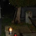 zdjęcie nr 49