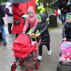 zdjęcie nr 103