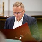 zdjęcie nr 19