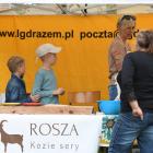 zdjęcie nr 17