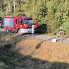 Fotka nr 1 z 6