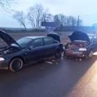 Fotka nr 2 z 4