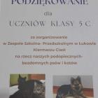 Fotka nr 3 z 6