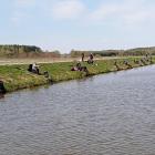 zdjęcie nr 11