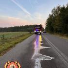 Fotka nr 5 z 7