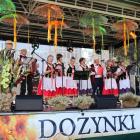 Fotka nr 5 z 29
