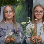 zdjęcie nr 15