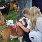 zdjęcie nr 69