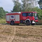 Fotka nr 1 z 5
