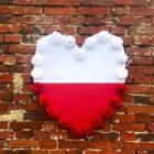 zdjęcie nr 11