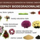 zdjęcie nr 10