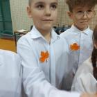 zdjęcie nr 29