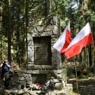 zdjęcie nr 40
