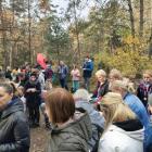 zdjęcie nr 50