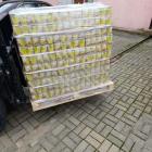 zdjęcie nr 8
