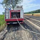 Fotka nr 1 z 8