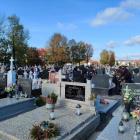 zdjęcie nr 18
