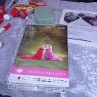 zdjęcie nr 11