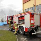 Fotka nr 4 z 7