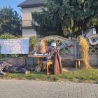 zdjęcie nr 23