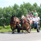 zdjęcie nr 43