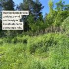 Fotka nr 4 z 10
