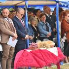 zdjęcie nr 90