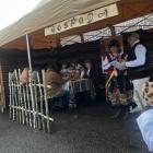 zdjęcie nr 21