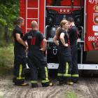 zdjęcie nr 14
