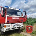Fotka nr 1 z 4