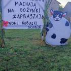 Fotka nr 0 z 5