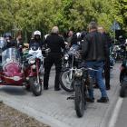 zdjęcie nr 45