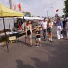 zdjęcie nr 11