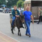 zdjęcie nr 30