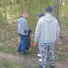 Fotka nr 5 z 9