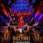 Fotka nr 3 z 4