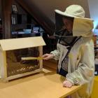 zdjęcie nr 13