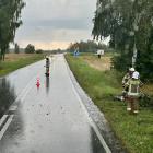 Fotka nr 1 z 2